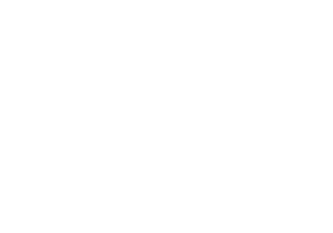 soccer stars logo